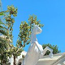 ���� Sov�, ������ - ��������� 8 ������ 2024 � ������ ���� ����������