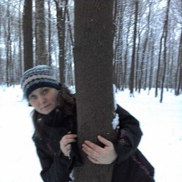 �����, �����-���������, 53 ����