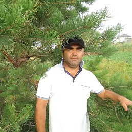 , 39 , 