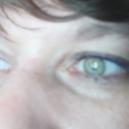 ���� �����, �����-���������, 45 ��� - ��������� 4 ������ 2023