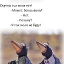 ���� ��������, ������, 56 ��� - ��������� 26 ��� 2026 � ������ ���� ����������