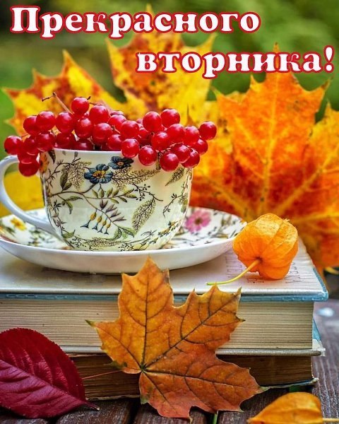 ОБО ВСЕМ - 28 октября 2025 в 14:36