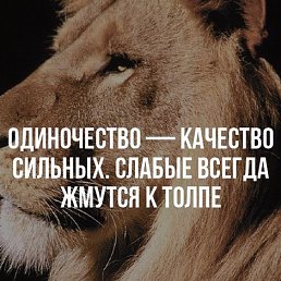 ���� ������, �������, 45 ��� - ��������� 13 ��� 2026