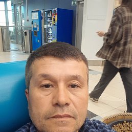 , 51 , -