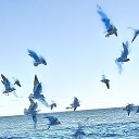 ���� ������, �������, 61 ��� - ��������� 19 ������� 2024 � ������ ���� ����������