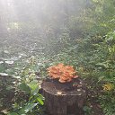  Dmitrijus, , 56  -  2  2024