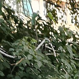 �������, ���������, 69 ���