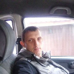 ������, 38 ���, ������