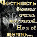 ���� ������, ������, 39 ��� - ��������� 6 ������� 2026 � ������ ���� ����������