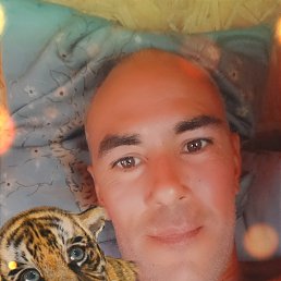 ���� Alik, ��������, 45 ��� - ��������� 2 ������� 2025