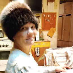 ����, 38 ���, ������