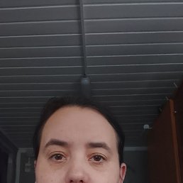 ���������, 38 ���, ������