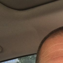 ������, �����, 50 ���