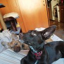 ���� ��������, �����������, 56 ��� - ��������� 16 ������ 2025 � ������ ������ ��������