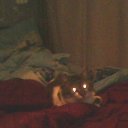 ���� .��������� 333, �����, 48 ��� - ��������� 19 ������ 2025 � ������ ������ ��������