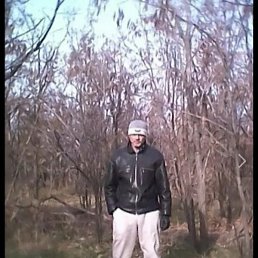 �, ���������