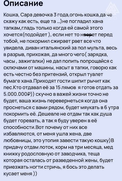 Москвич продает свою кошку за 5 000 000 рублей.Она лишила его жены, двух любовниц и ещё много чего - 2