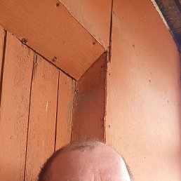 , 45, 