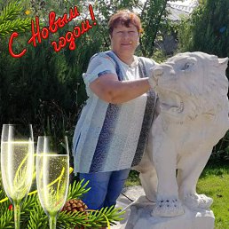 , 65, -