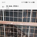 ���� ����, ������-��-����, 58 ��� - ��������� 24 ������ 2026