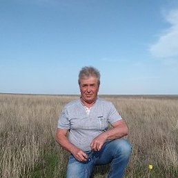 ������, ��������, 68 ���