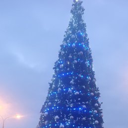 ����, ������, 37 ���