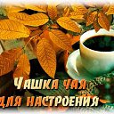 ���� ����, ������� - ��������� 15 ������� 2024 � ������ ������ ��������