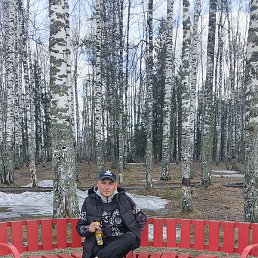 ������, ������, 40 ���