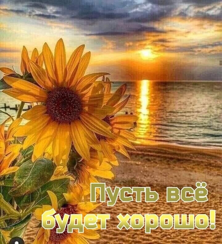 Открытки с летом. Яркие моменты лета. И снова лето. Тепло как наше лето. Открытка на летнюю тему.