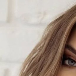 �����, �����-���������, 40 ���