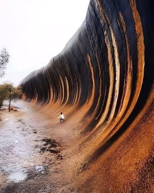  .... Wave Rock   ,   .  15     ...