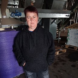 , 43, 