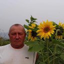 ���� ��������, ��������, 66 ��� - ��������� 17 ������� 2025 � ������ ���� ����������