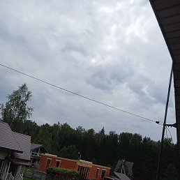 ���� ������ ����� ��������, �����������, 38 ��� - ��������� 17 ������� 2024
