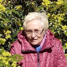 ���������, �����������, 75 ���