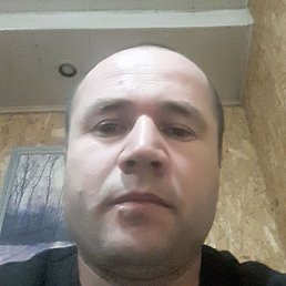 ����, ����, 37 ���