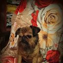 ���� ������ �����, ����������, 52 ���� - ��������� 12 ������ 2025 � ������ ������ ��������