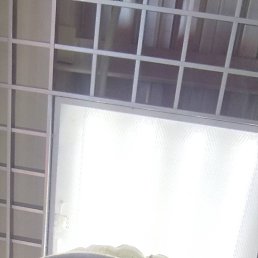 Sasha, 37, 