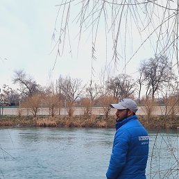 Bobir, �����������, 37 ���