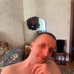 ���� ����, �����������, 41 ��� - ��������� 1 ���� 2026