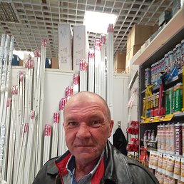 , 51 , 