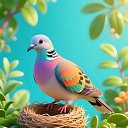 ���� Mohammed, ���� - ��������� 26 ������ 2026 � ������ ������ ��������