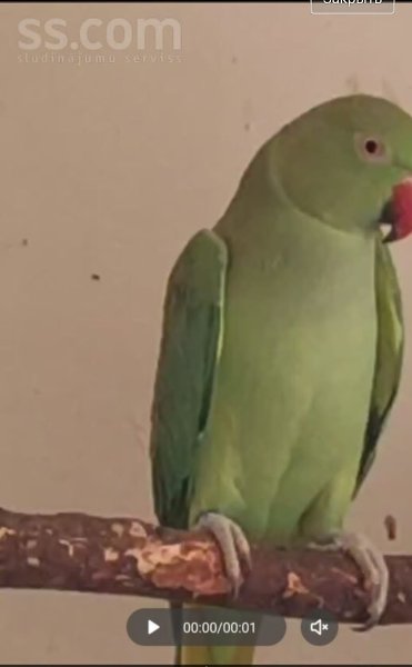 ����� - 15 ������ 2025 � 10:50