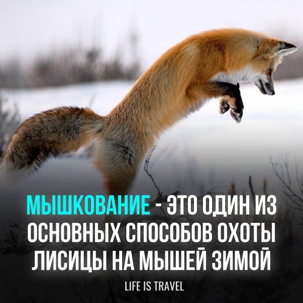 ����� ���������� �� ������� � �� ������������ �����, ����� �������, ��� ��� ��������� �� ����� ��� ...