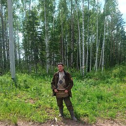 ������, �������, 37 ���