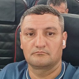 �����, ������, 41 ���