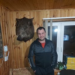 ���������, 43 ����, ���������