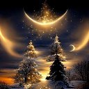 ���� �������, ������, 72 ���� - ��������� 4 ������� 2025 � ������ ������ ��������