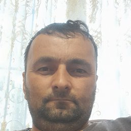 ����, 34 ����, ���������