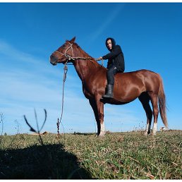 Umar, ������, 20 ���